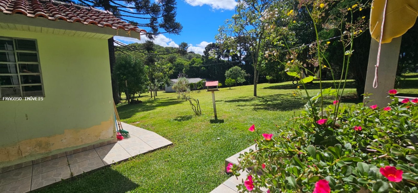 Chácara, 3 quartos, 7526 m² - Foto 12