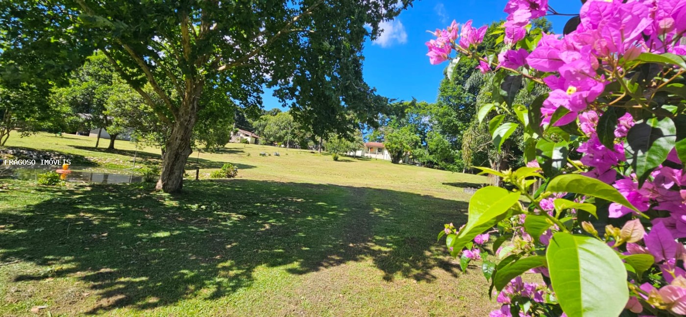 Chácara, 3 quartos, 7526 m² - Foto 38