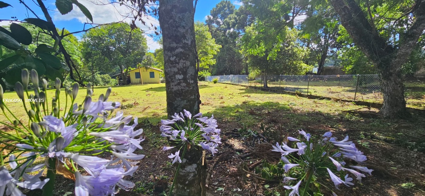 Chácara, 5650 m² - Foto 8