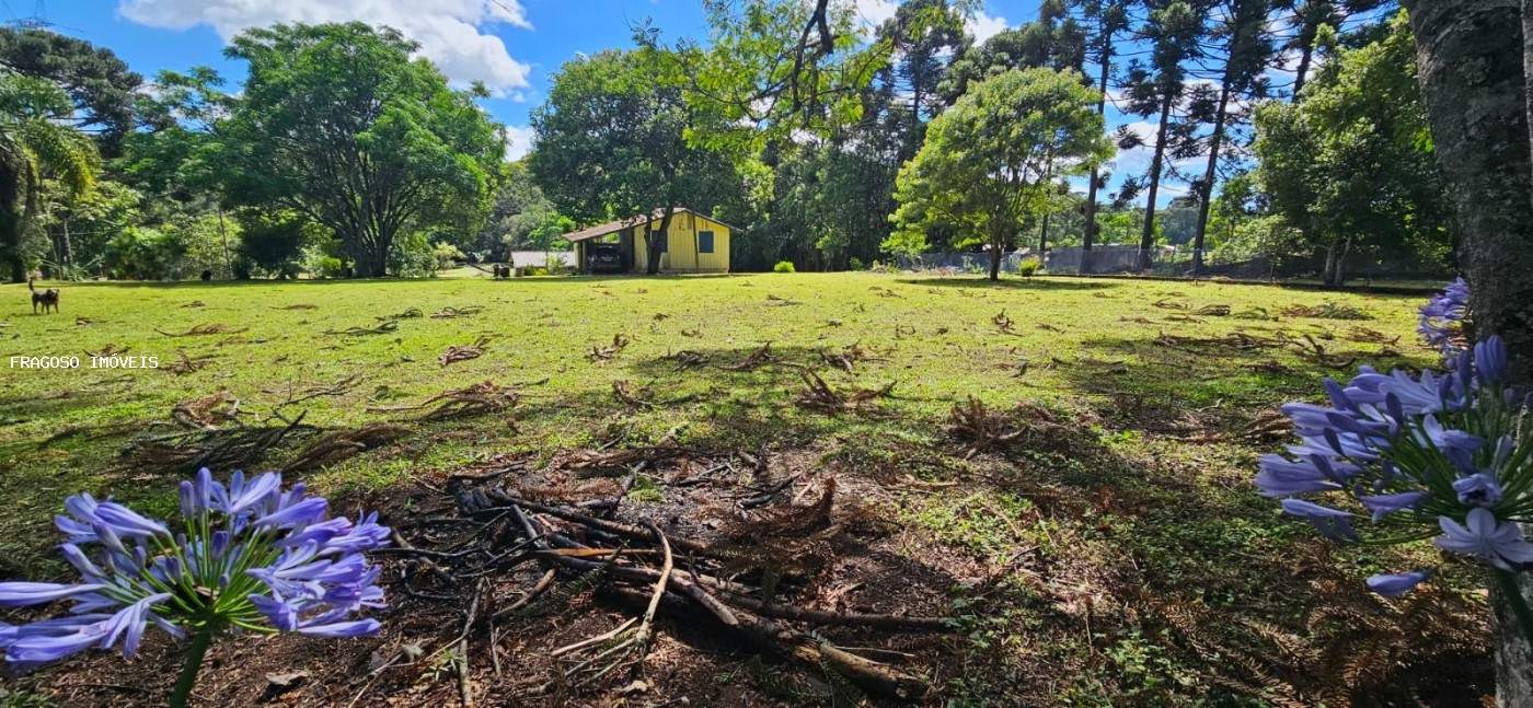 Chácara, 5650 m² - Foto 11