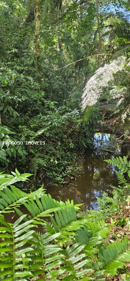 Chácara, 5650 m² - Foto 38