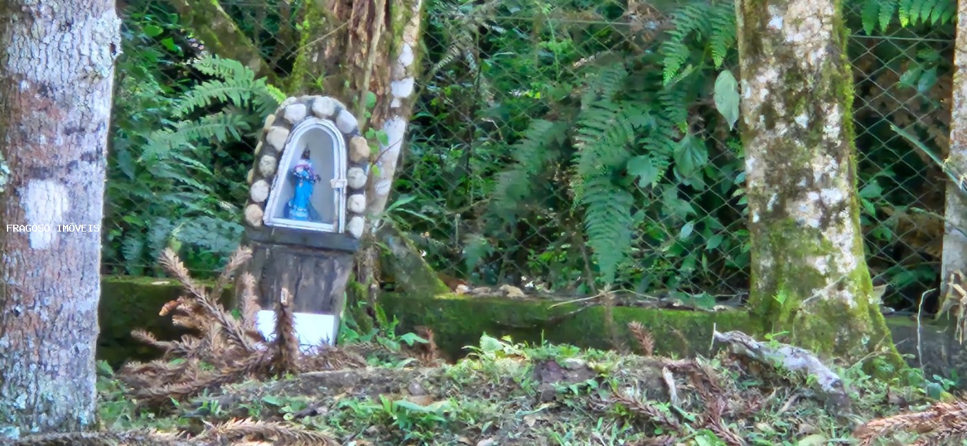 Chácara, 5650 m² - Foto 37