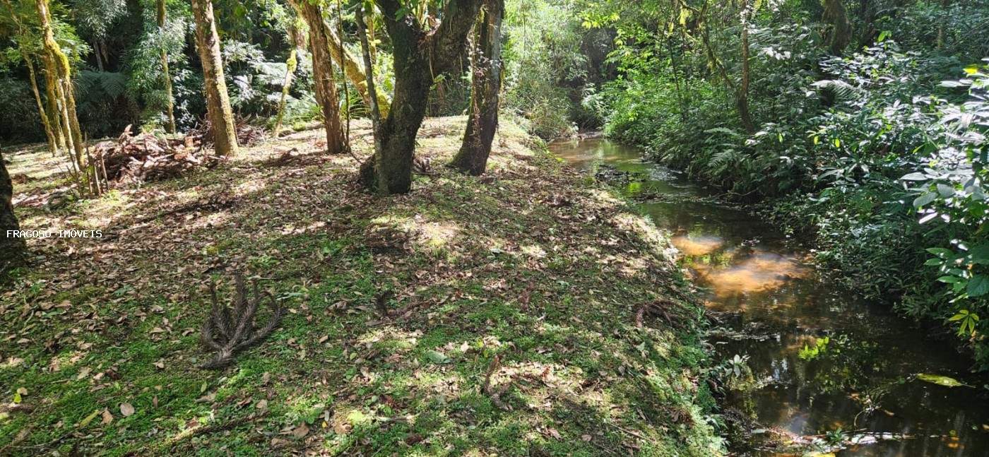 Chácara, 5650 m² - Foto 40