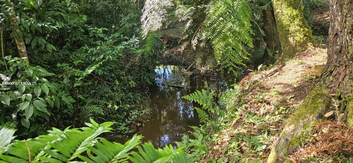 Chácara, 5650 m² - Foto 39