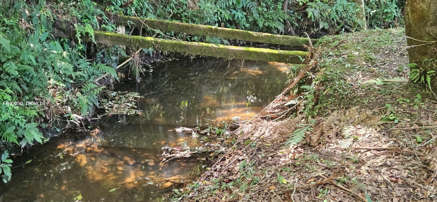 Chácara, 5650 m² - Foto 43