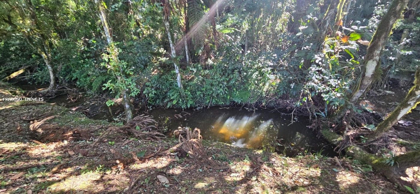 Chácara, 5650 m² - Foto 44