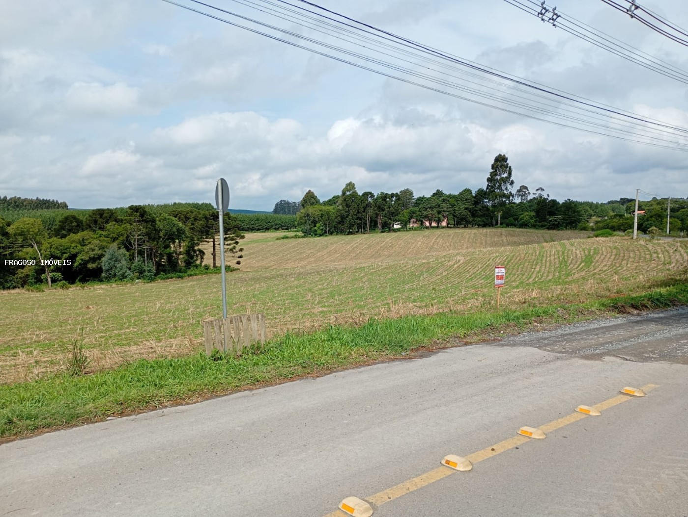 Sítio, 2 hectares - Foto 3