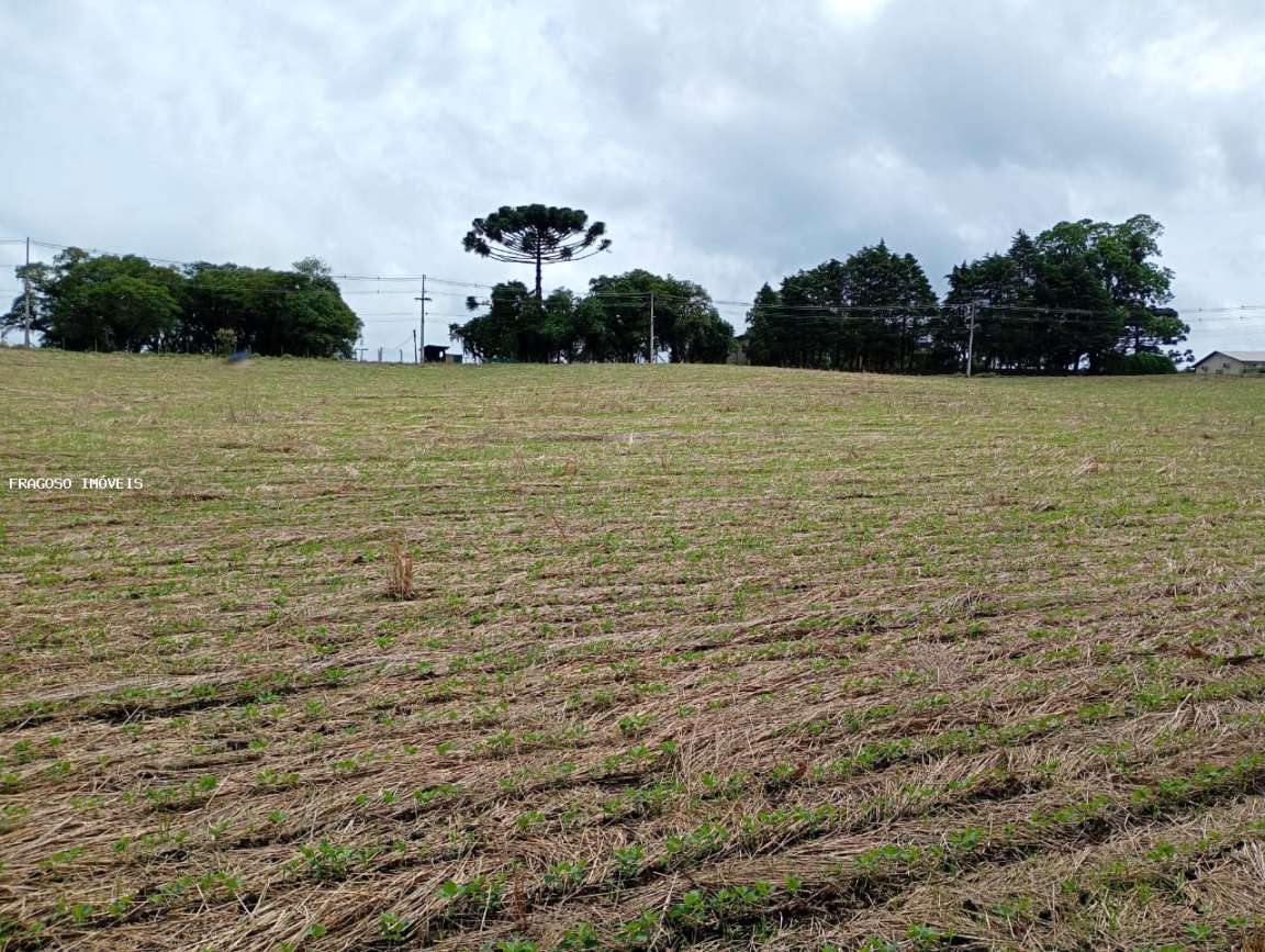 Sítio, 2 hectares - Foto 4